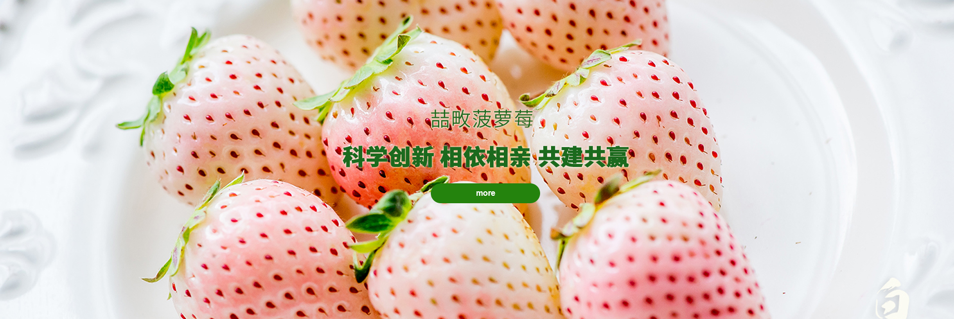 九游官网下载电脑版