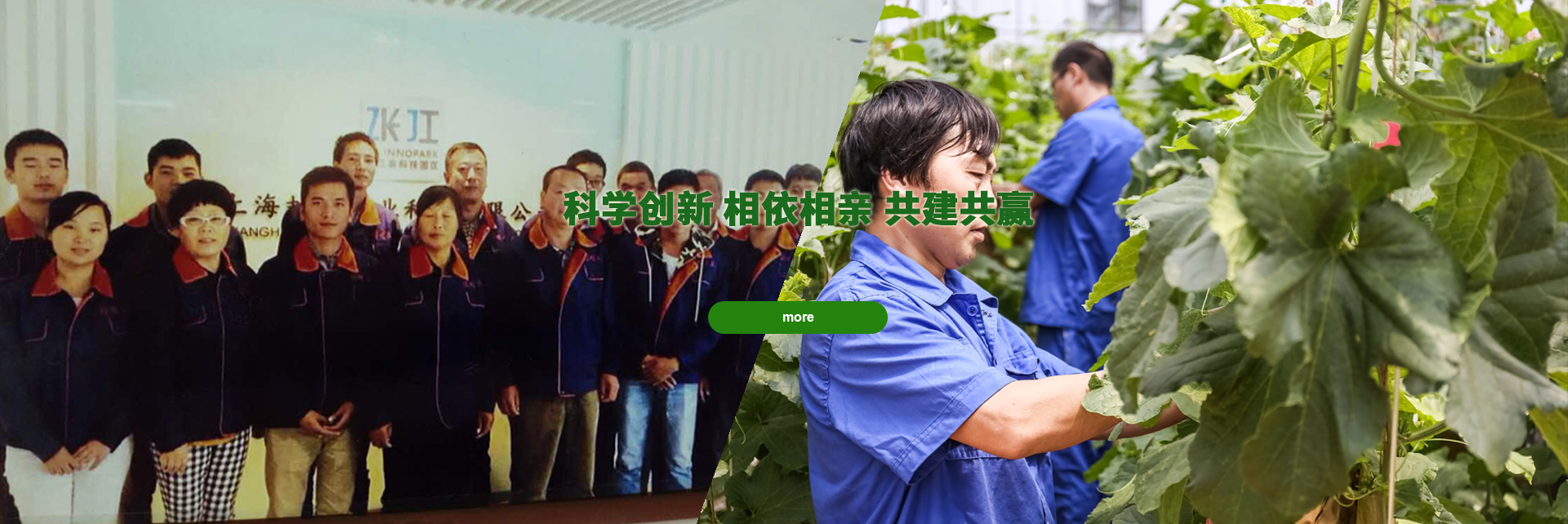 九游官网下载电脑版