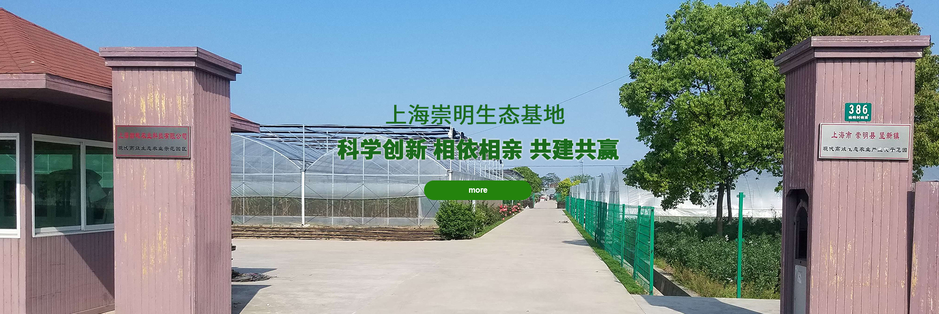 九游官网游戏