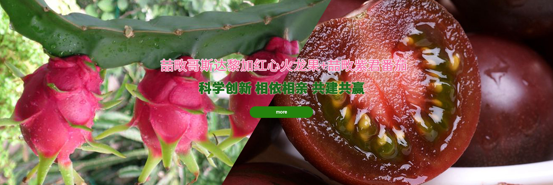 九游官网游戏